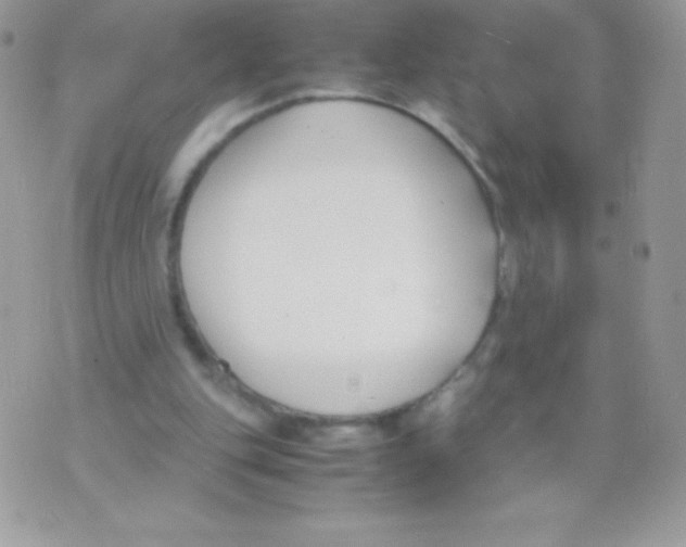 X0000070830151200607142349