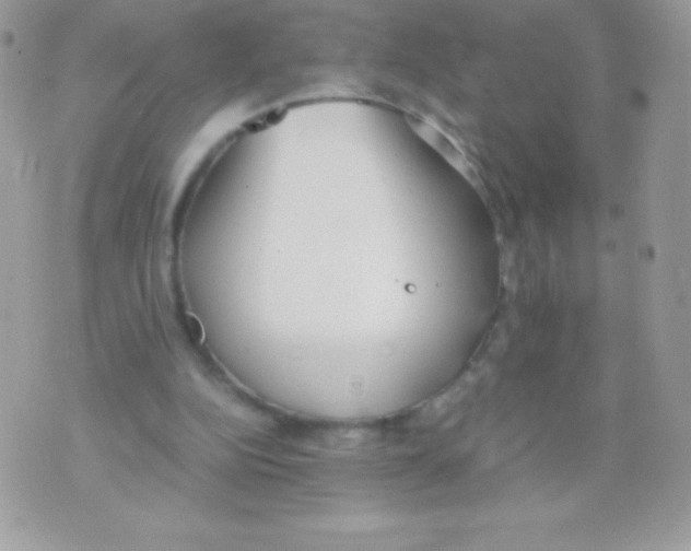 X0000070830152200607142349