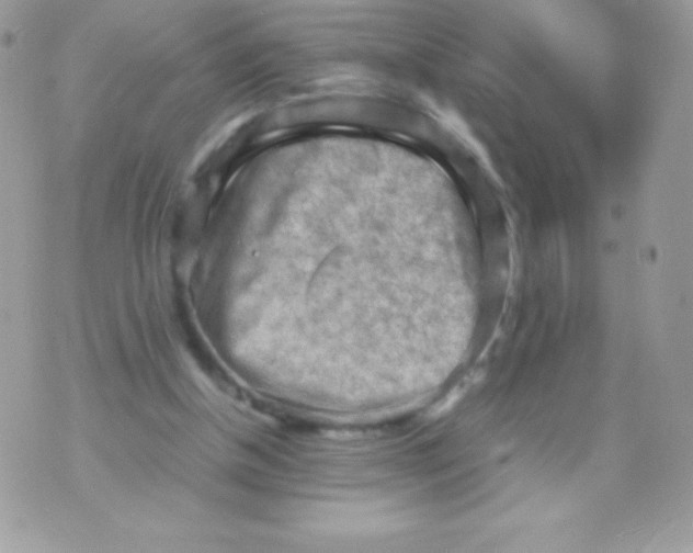 X0000070830154200607142349