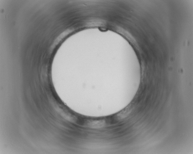 X0000070830155200607142349