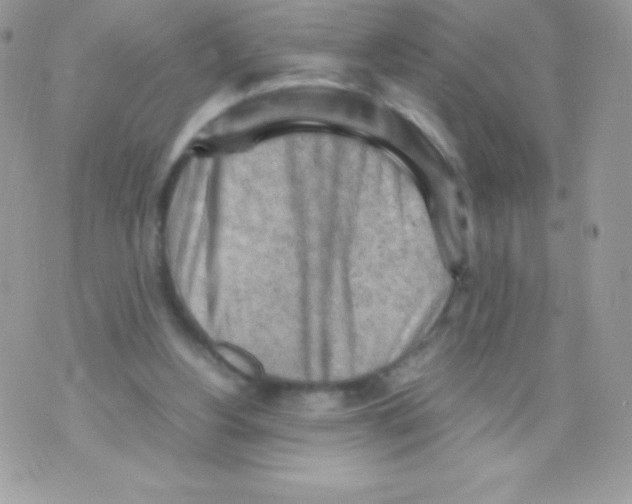 X0000070830156200607142349