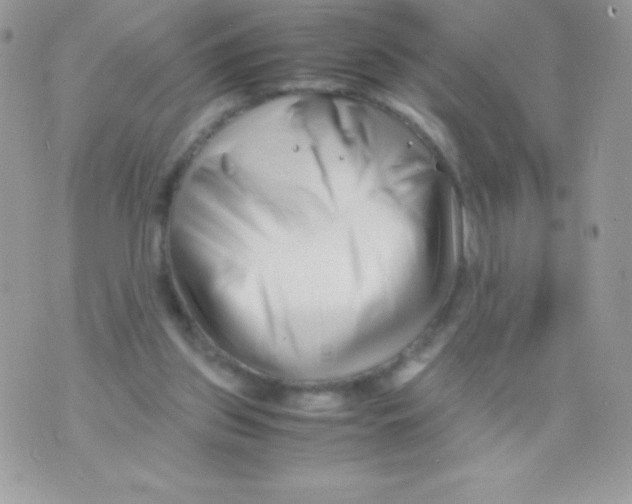 X0000070830157200607142349