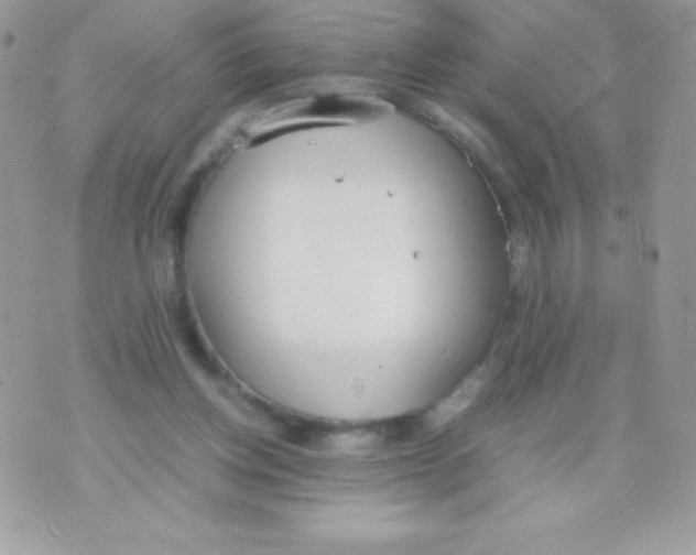 X0000070830158200607142350