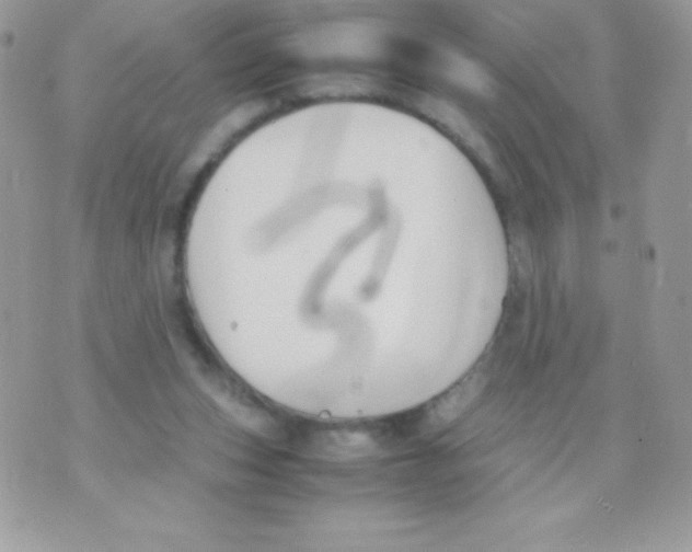 X0000070830159200607142350