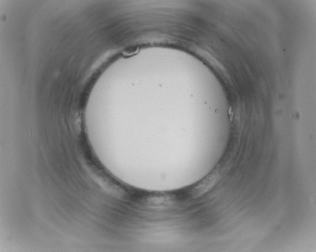 X0000070830160200607142350