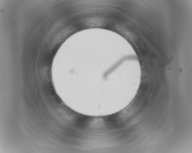 X0000070830162200607142350