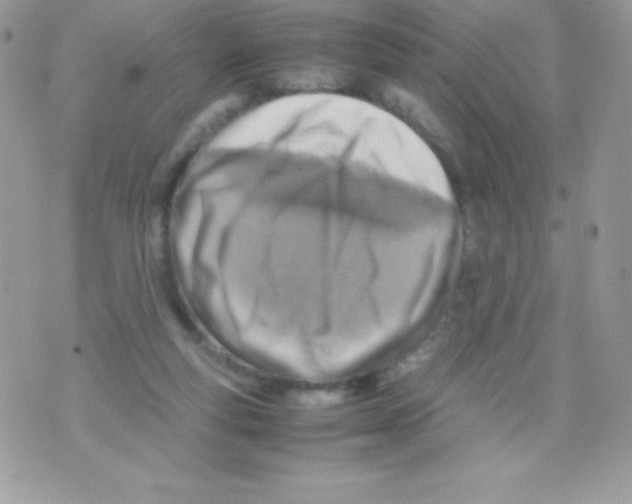 X0000070830163200607142350