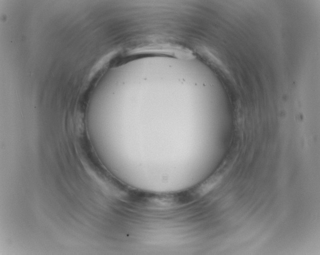 X0000070830164200607142350