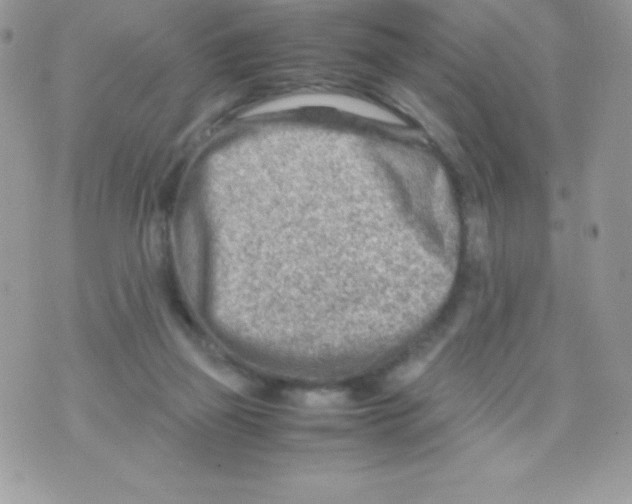 X0000070830165200607142350