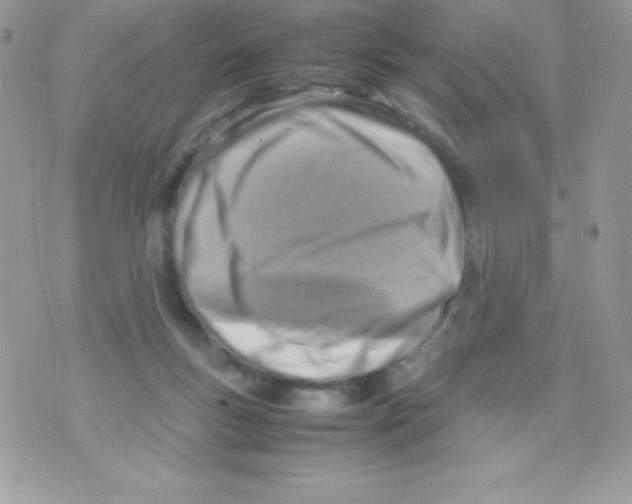 X0000070830167200607142350