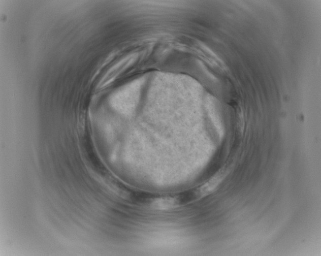 X0000070830168200607142350