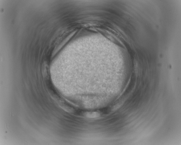 X0000070830169200607142350