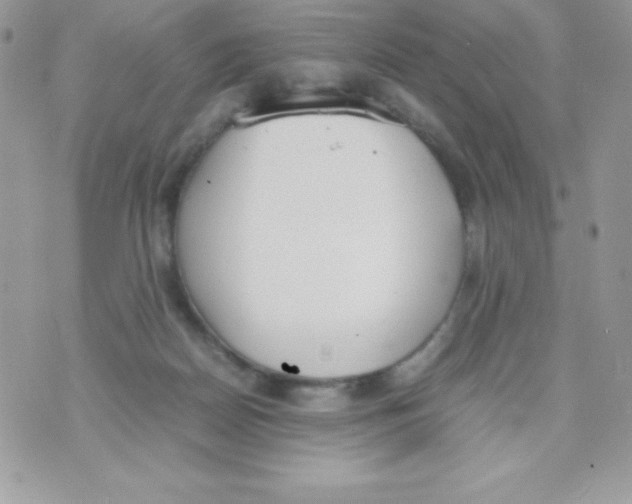 X0000070830170200607142350