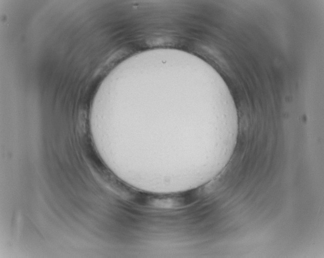 X0000070830171200607142350