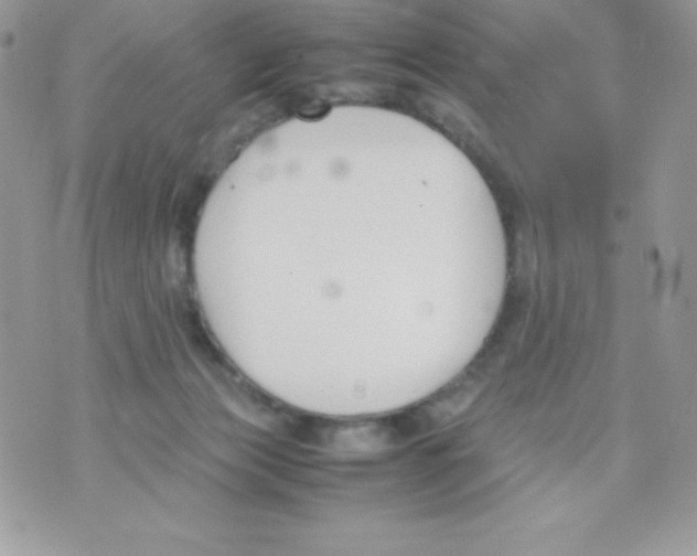 X0000070830173200607142350