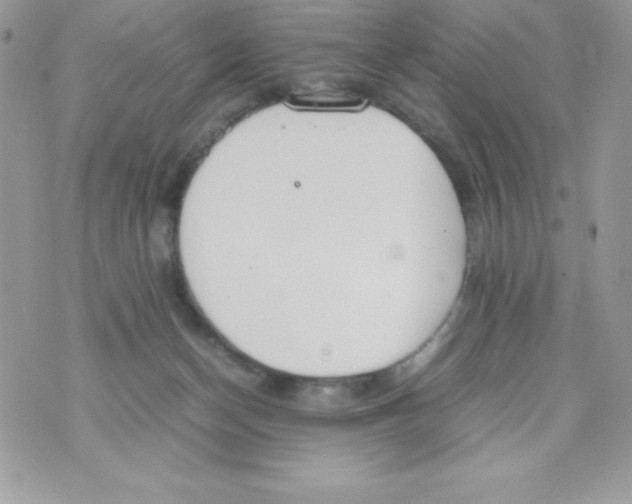 X0000070830174200607142350