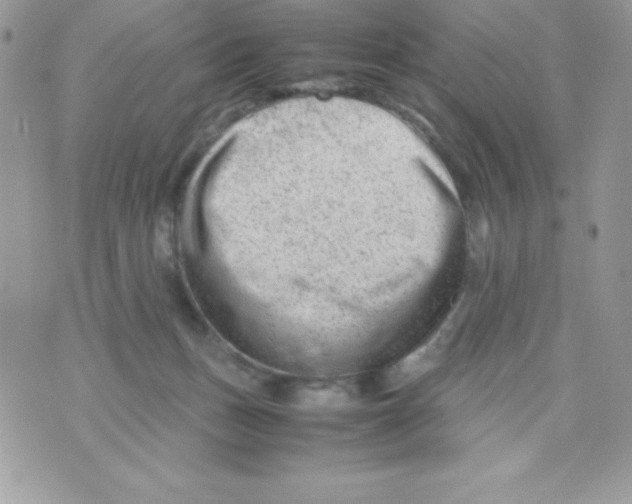 X0000070830175200607142350