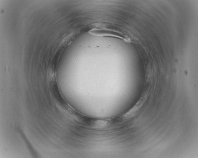 X0000070830176200607142350