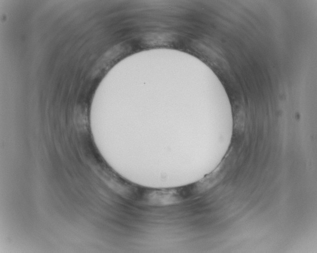 X0000070830179200607142350