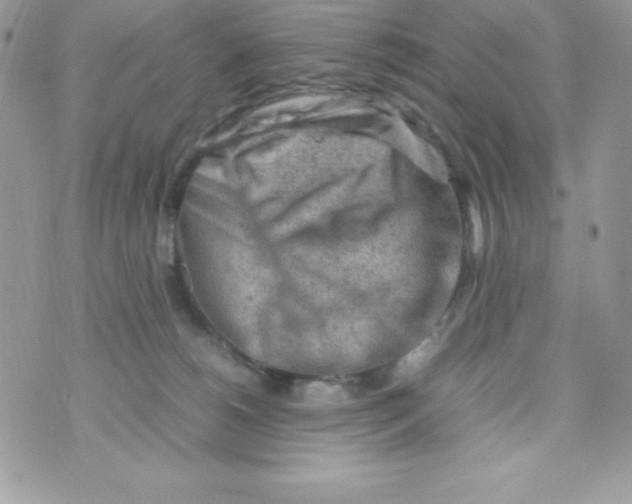 X0000070830180200607142350