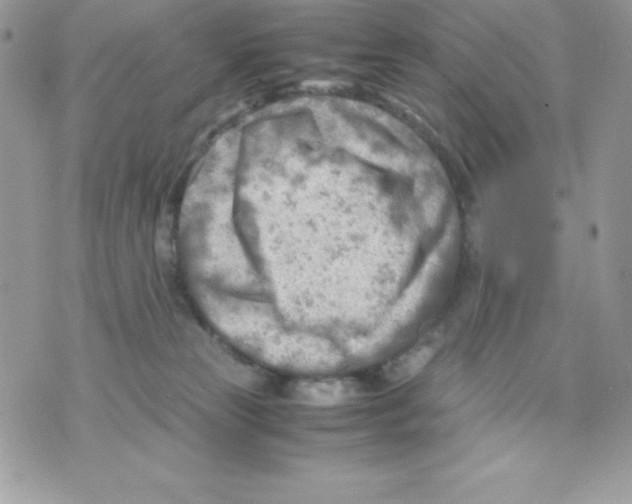 X0000070830181200607142350