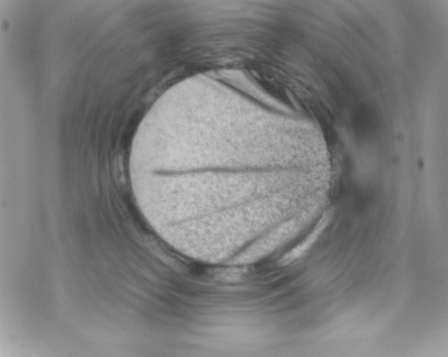 X0000070830182200607142350