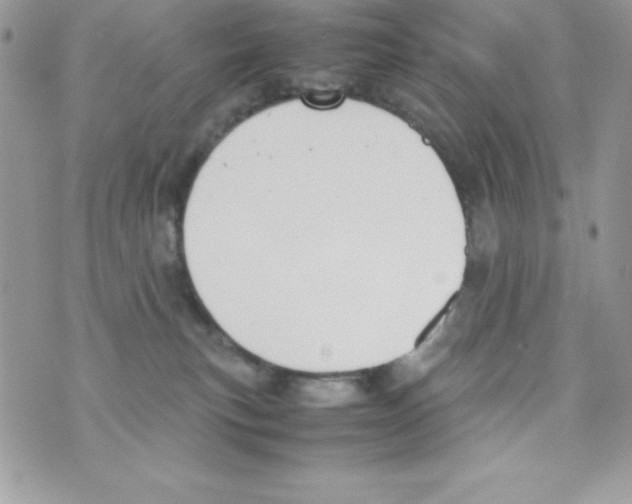 X0000070830183200607142350