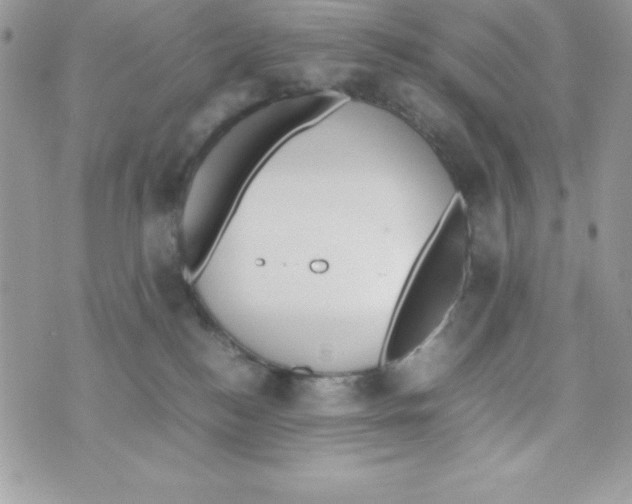 X0000070830184200607142350