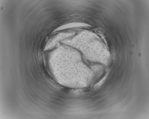 X0000070830186200607142350