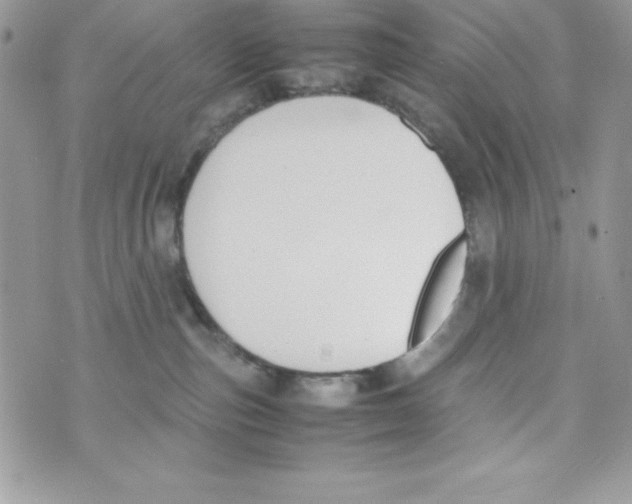 X0000070830187200607142350