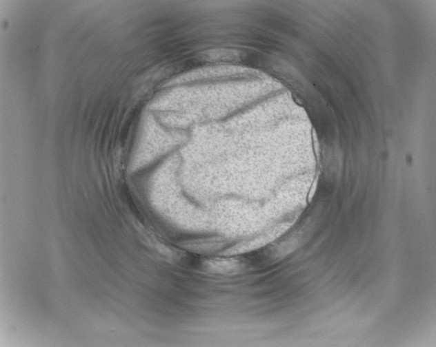 X0000070830189200607142350