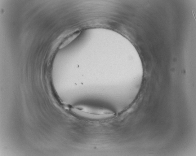 X0000070830193200607142349