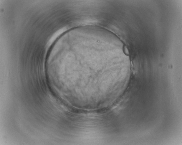 X0000070830196200607142349