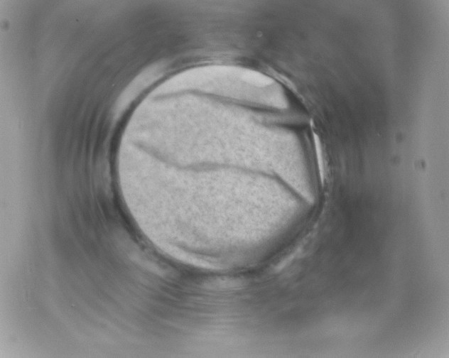 X0000070830198200607142349