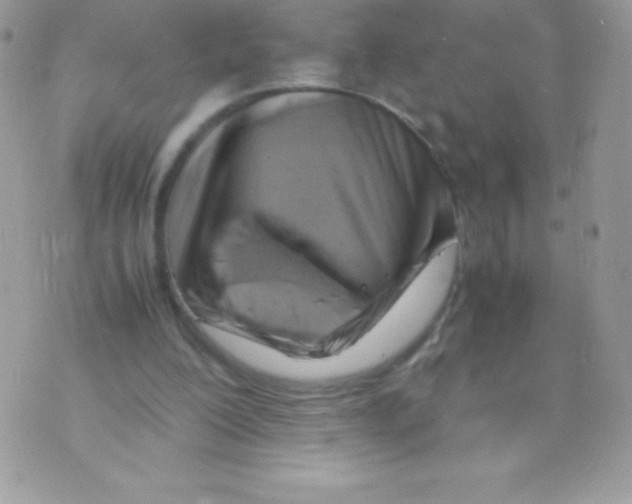 X0000070830200200607142349