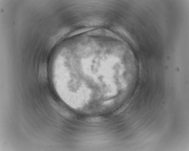 X0000070830202200607142349