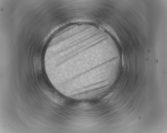 X0000070830204200607142349