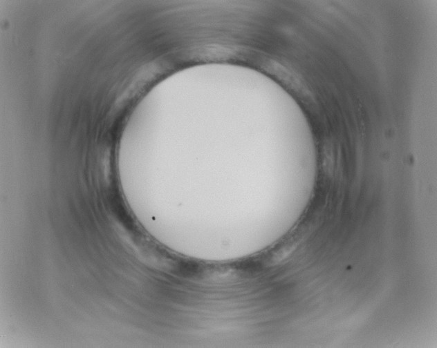 X0000070830206200607142349