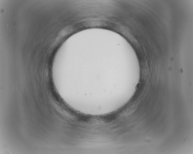 X0000070830207200607142349