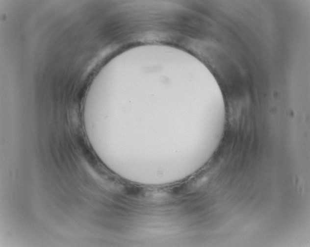 X0000070830208200607142349