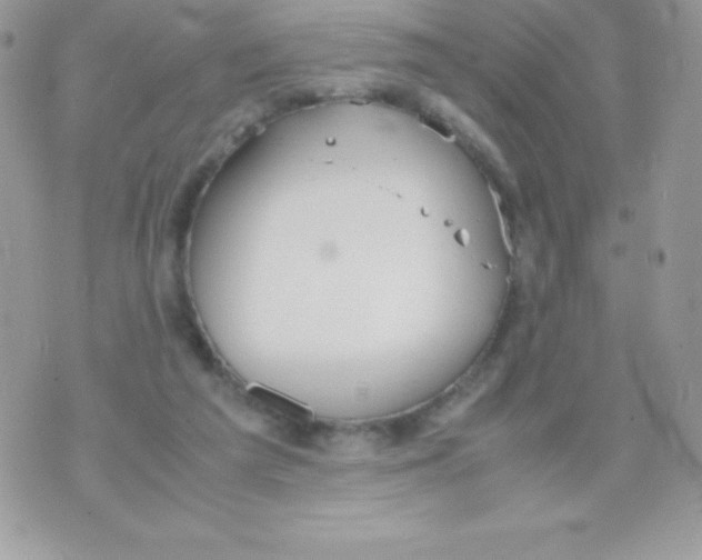 X0000070830209200607142349