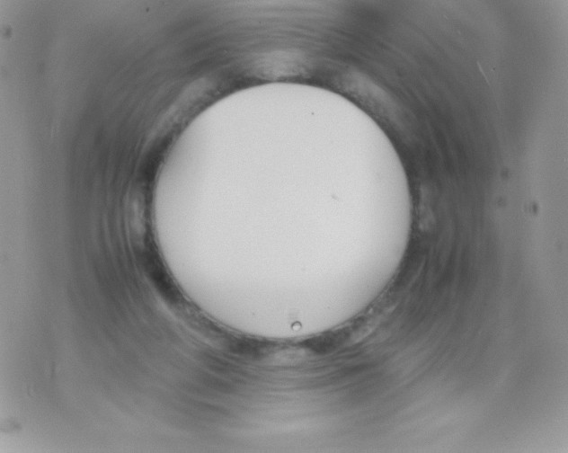 X0000070830210200607142349