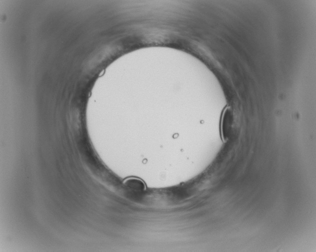 X0000070830211200607142349