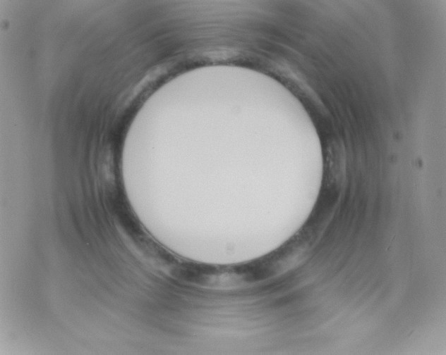 X0000070830212200607142349