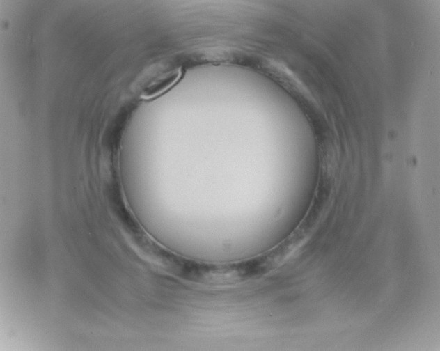 X0000070830213200607142349