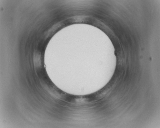 X0000070830216200607142349