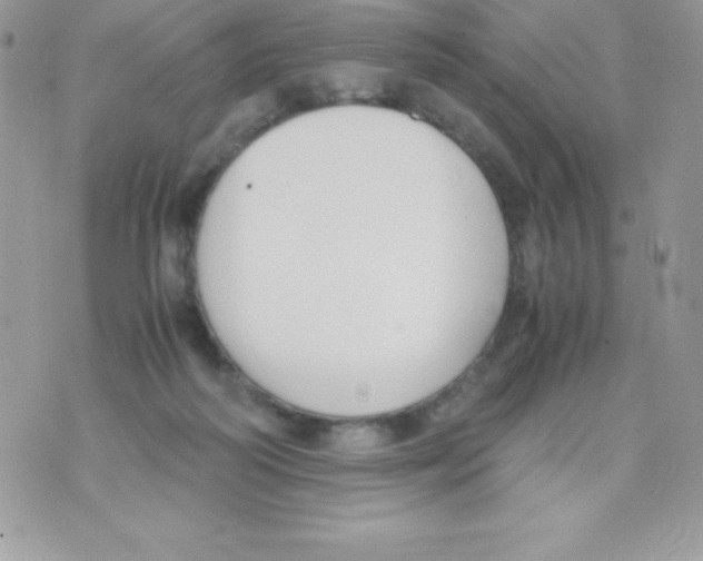 X0000070830218200607142349