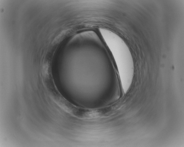 X0000070830219200607142349