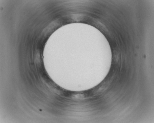 X0000070830220200607142349