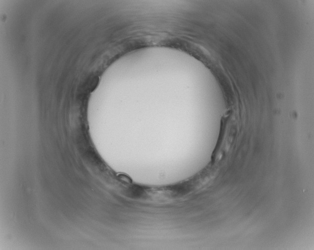 X0000070830221200607142349